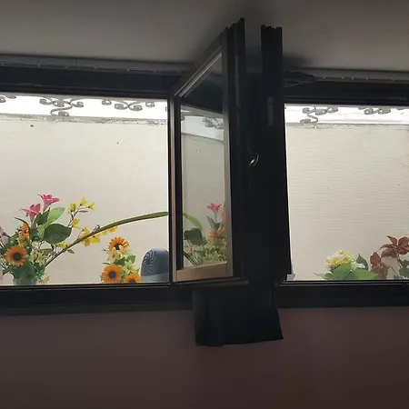 Adam's Garden